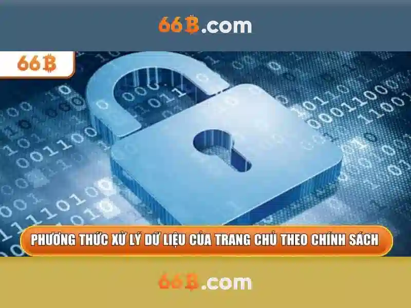cá cược - 66B