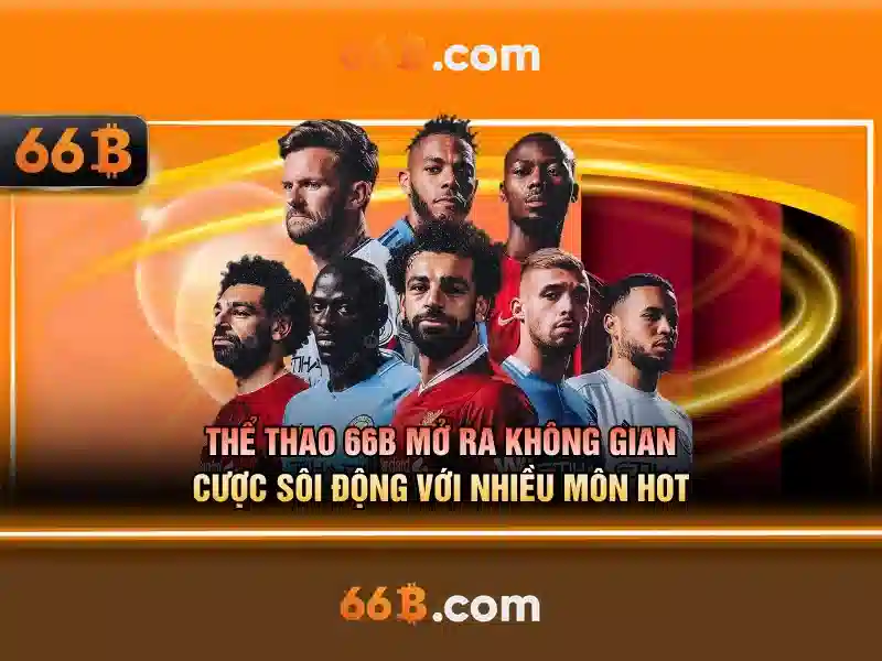  hướng dẫn 66B - 66B