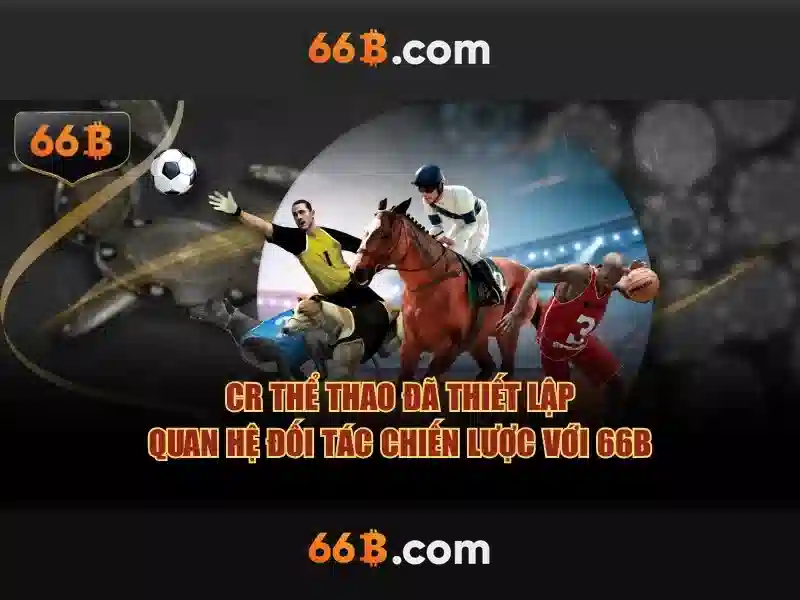  đăng ký 66b - 66B