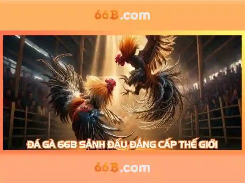 tải app 66B - 66B