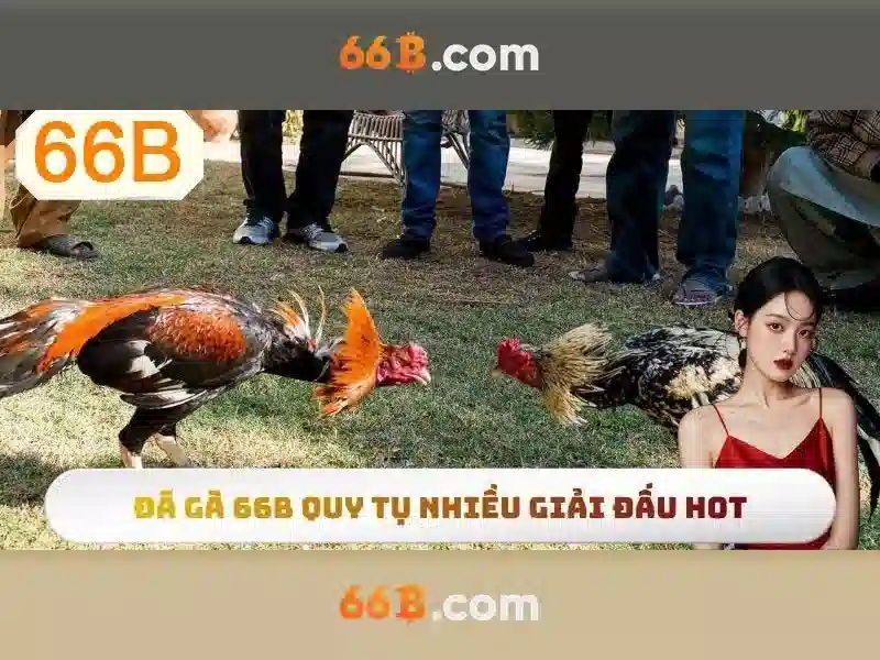  chiến thuật cá cược - 66B
