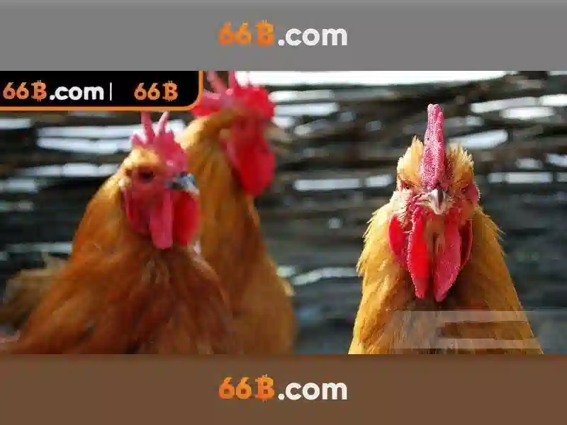  khuyến mãi bắn cá - 66B