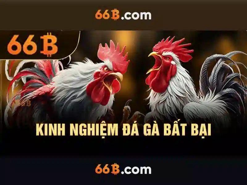  quản lý vốn - 66B