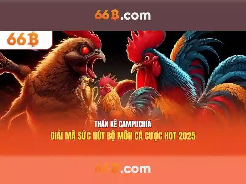rút tiền 66B - 66B
