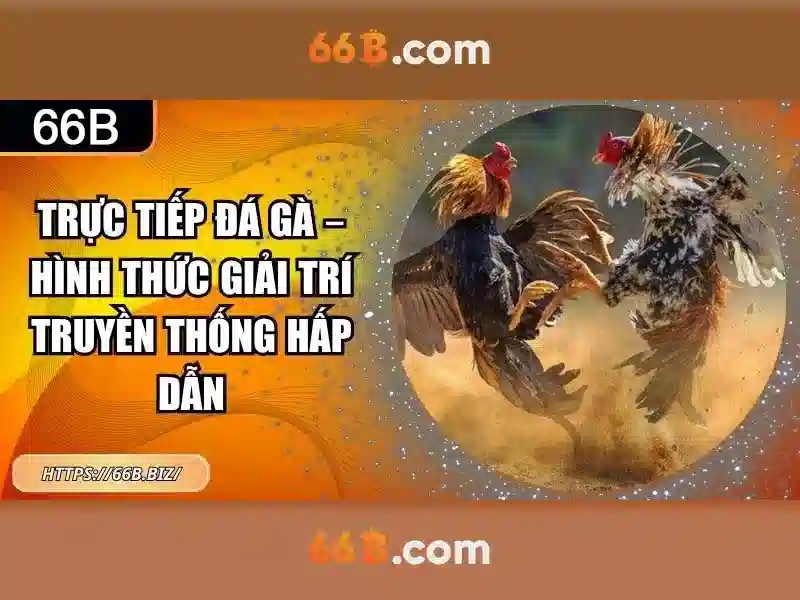 ưu đãi casino - 66B