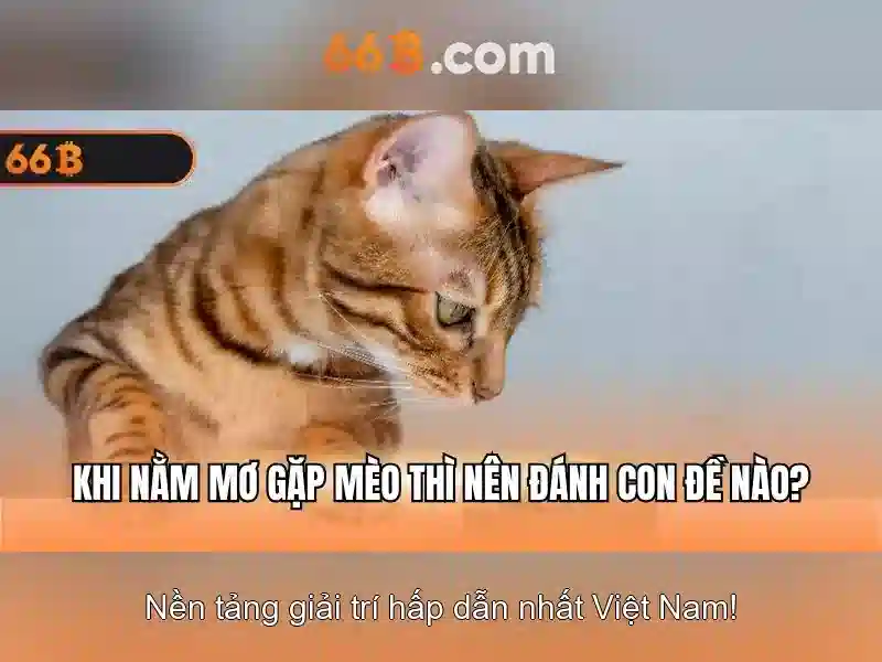  đăng nhập nhanh 66b - 66B