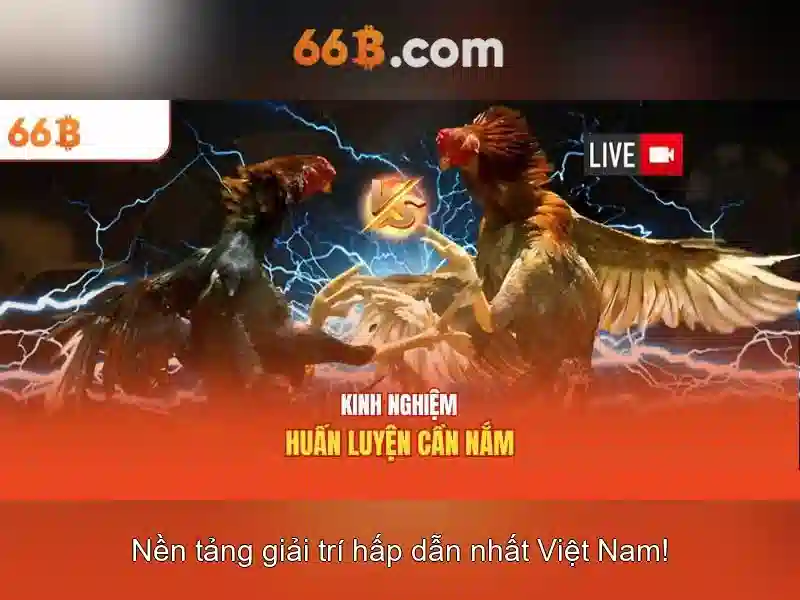 Đăng Ký 66B Tài Khoản｜Vietnam Tốt Nhất Trực Tuyến SLOT Trải Nghiệm Uy Tín - 66B