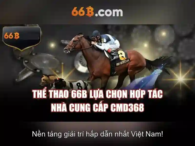  cá cược - 66B