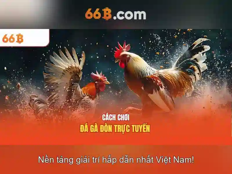  66b cập nhật - 66B