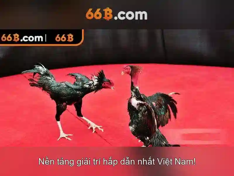 đăng ký 66B - 66B