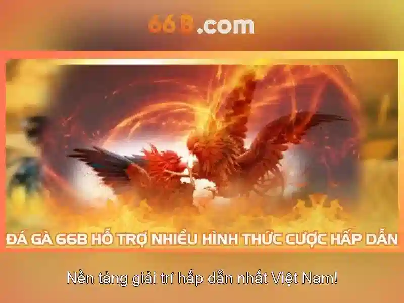 cá cược Slot - 66B