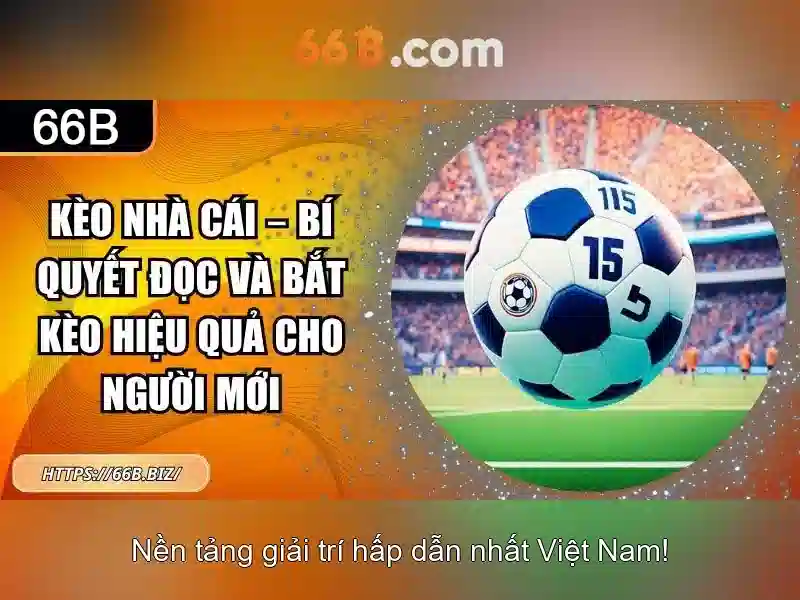  khuyến mãi 66b - 66B