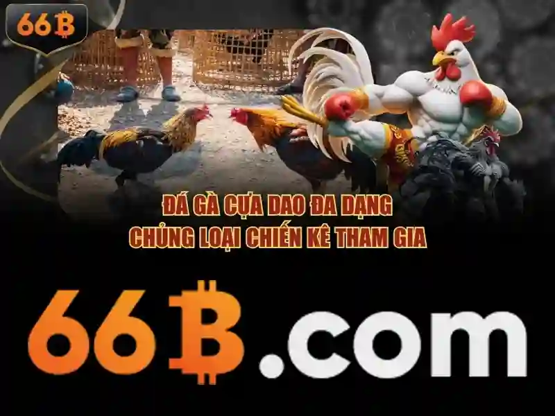 Chính Sách Bảo Mật 66B Tạo Trải Nghiệm An Toàn Cho Bet Thủ - 66B